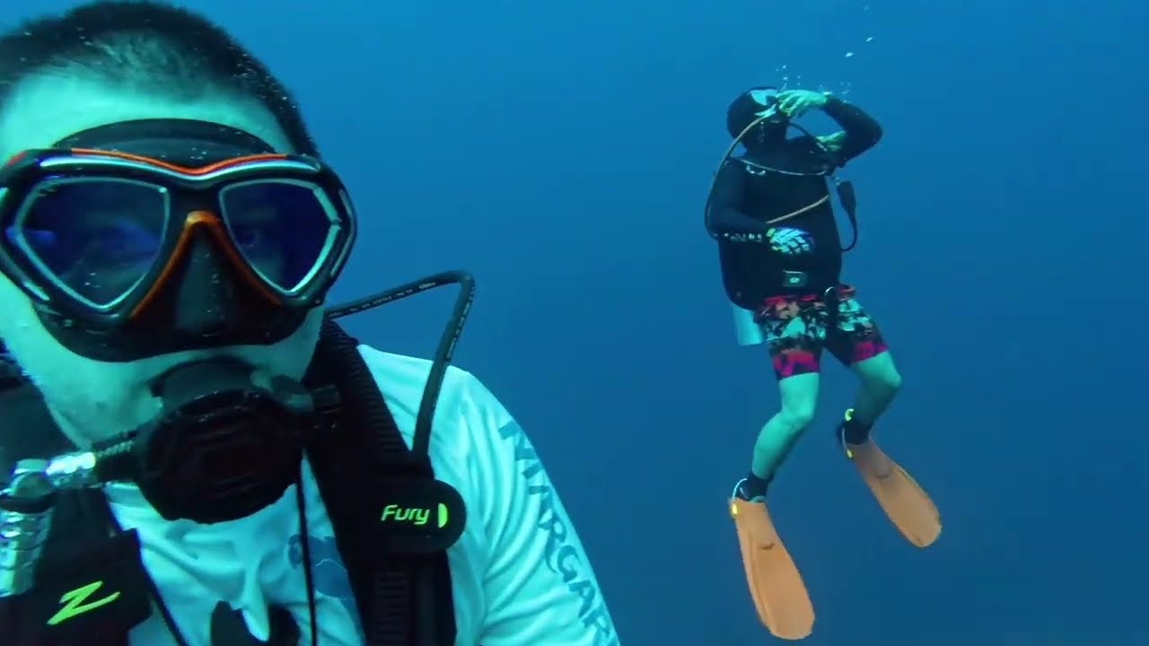 Dive Highlights: June 5, 2024 - Nassau, Bahamas - Pumpkin Patch and Ray of Hope