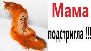 Лютые приколы. МАМА ПОДСТРИГЛА!!! Самое смешное видео! Засмеялся проиграл! – Domi Show!