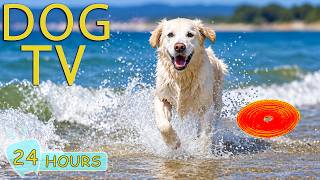 Información DOG TV: Best Videos All-Day Entertain for Dogs While You're Away - Calming Music for Dogs Guía