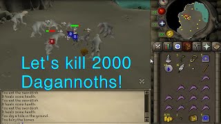 Runescape 2007 Lets kill 2000 Dagannoths! @Finsquirrel