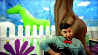 Smiley & Alex Velea feat. Don Baxter - Cai verzi pe pereti [Official video HD]