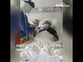 "함께 석양을 봐"—한 장의 사진 뒤의 감동 |CCTV 한국어방송