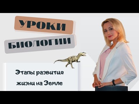 Этапы развития жизни на Земле