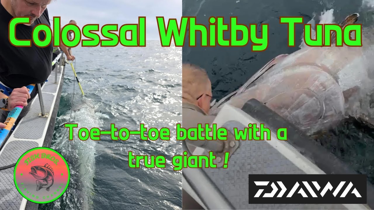 Going Toe-To-Toe With Colossal Bluefin Tuna At Whitby