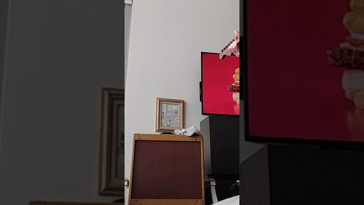 5e3 cathodyne distortion