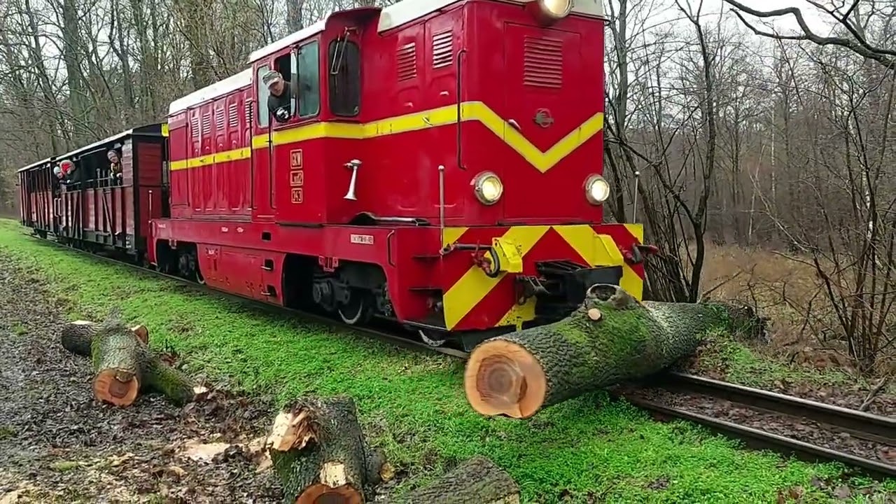 Wąskotorówka na WOŚP i przeszkoda na torach - 30 stycznia 2022