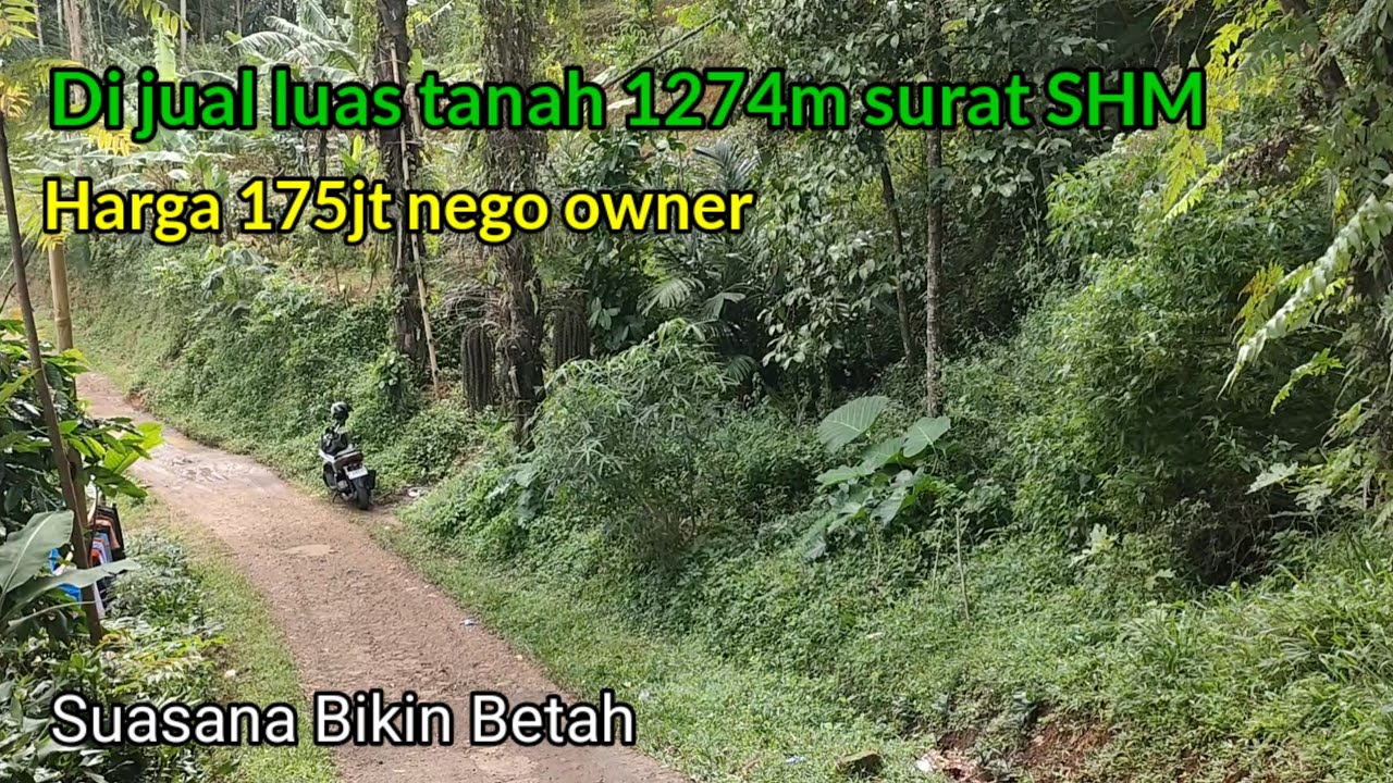 Suasana adem ayem ‼️Ada tanah mau di jual luas 1274m di tawarkan 175jt nego surat shm