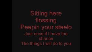 Ginuwine- Pony (Lyrics on screen)