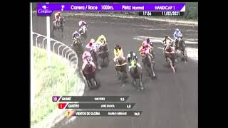 Vidéo de la course PMU PREMIO IDEA FIJA