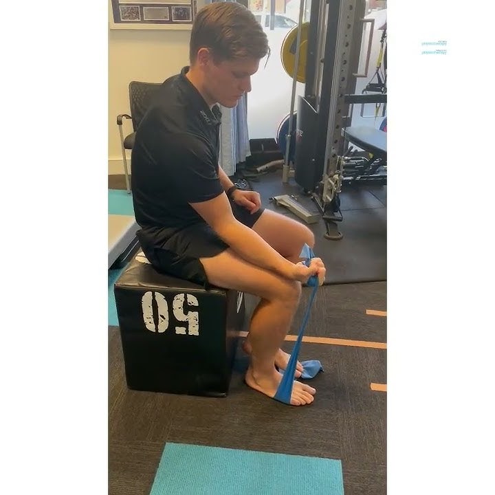 Isometric Wrist Flexion