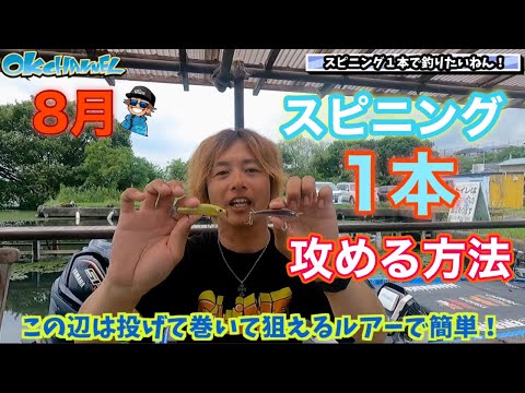 スピニング1本でOK‼︎「夏のバス釣りを楽しめる攻め方とルアー