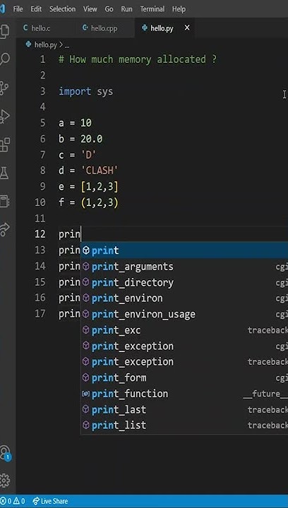 Python Program to check how much memory is allocated to each kind of ...