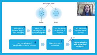 Activities and Systematic Treatment of Equilibria