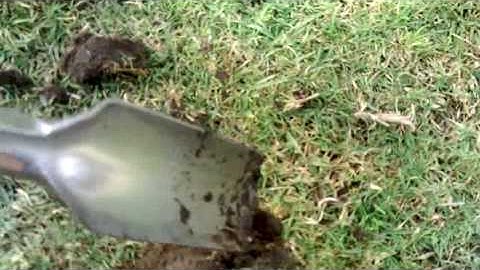 Minelab Xterra 50 Clip 2 Hd Trackerman