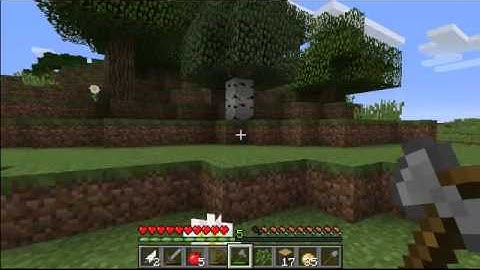 Minecraft 1.8 Vanilla Server 01