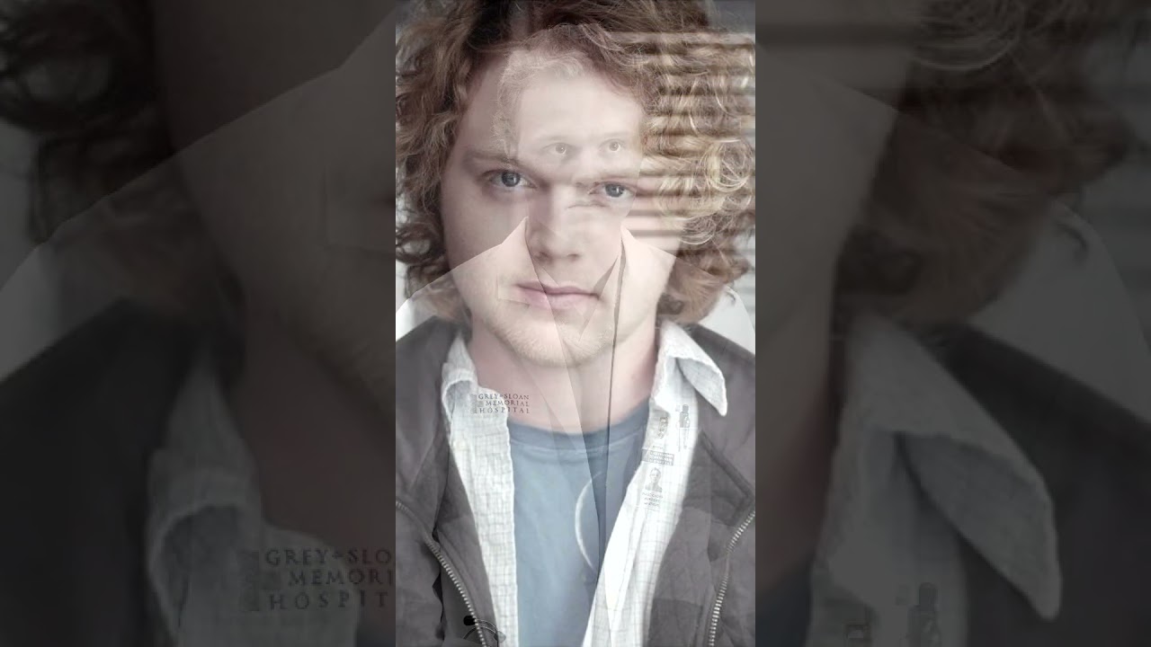 Joe Adler actor estadounidense