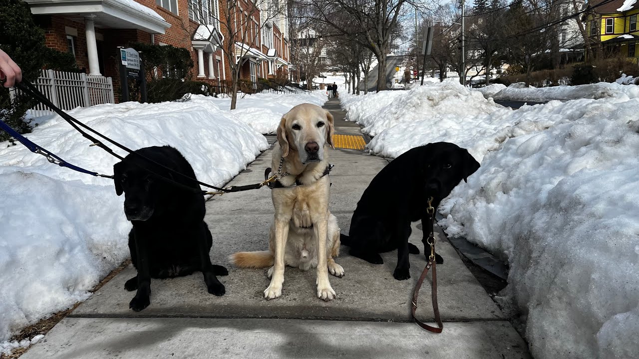 Navigating the 2026 Northeast Blizzard Aftermath