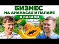 Как выращивать экзотические фрукты зимой в России? Папайя, лимон и ананас | Андрей Даниленко