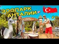 Зоопарк в Анталии. Турция 2021. Аэропорт Антальи. Летим домой