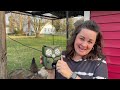 Top 5 Reasons to (or NOT to) Buy the Owl-Shaped Solar Animal Repellent X9001