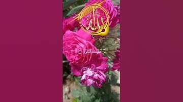 الشيخ سعد الغامدي سورة الكوثر تلاوه خاشعه #pubgmobile #picsart #اجمل_استوريات #اكسبلور
