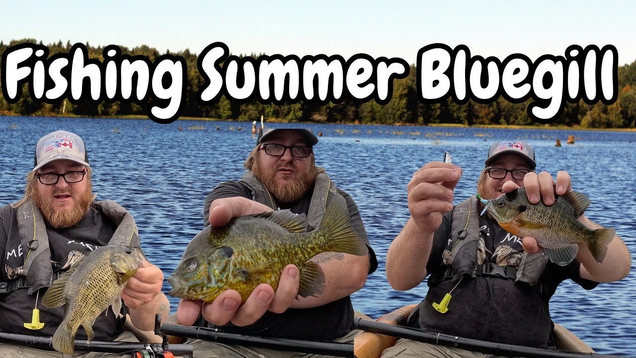 Fishing A Small Lake For Summer Bluegill