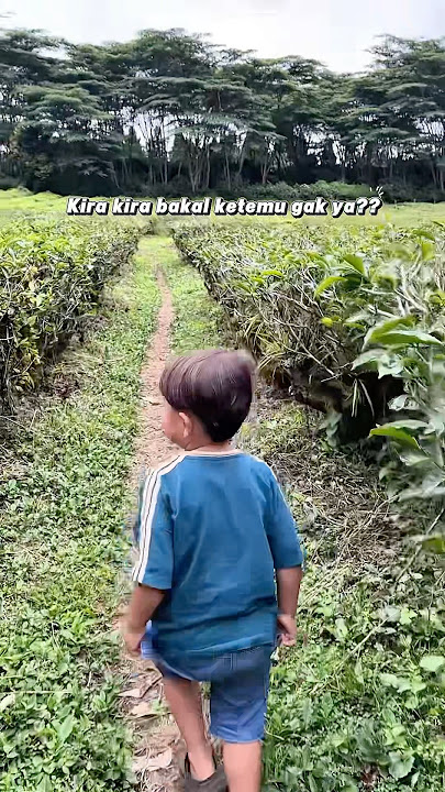 HIDE AND SEEK PLAYING BAIT