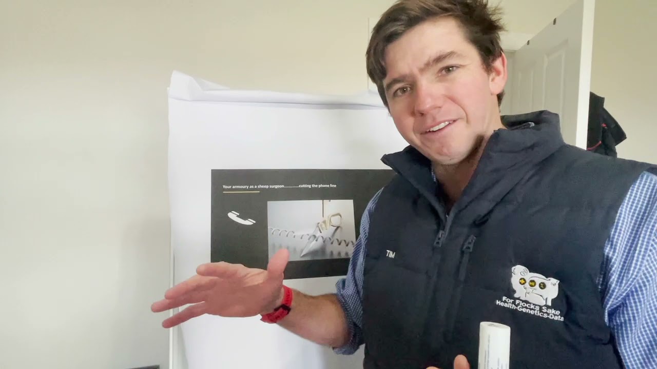 Using pain relief products at lamb marking - For Flocks Sake you know it makes sense