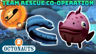 ​@Octonauts - Team Rescue Co-operation | 60 Mins+ Compilation | Underwater Sea Education