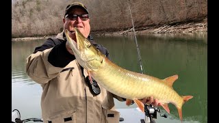 Captain Jim and TN Walleye Charters on Dale Hollow Lake