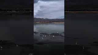 Doğa, Ruhun Huzur Bulduğu; Kuşlar Ise Özgürlüğün Şarkısını Söylediği Yerdir.