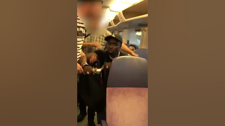 Winkeldieven gearresteerd in de trein door Undercover politie!!!