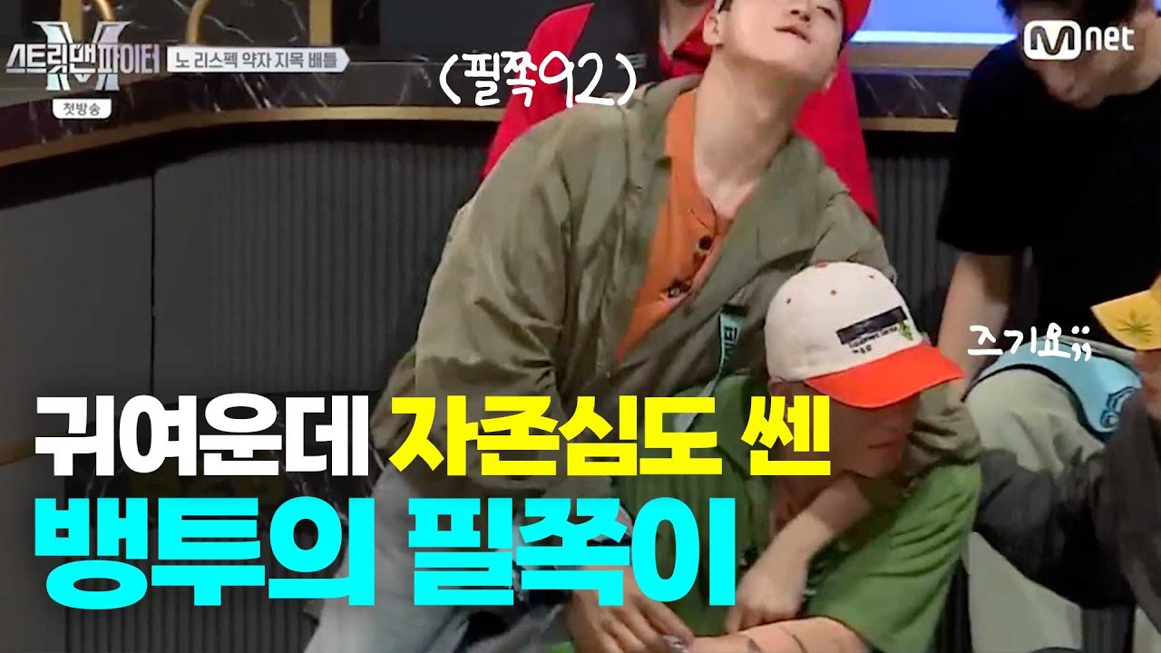 귀여운데 자존심도 두 배 뱅투의 필쪽이