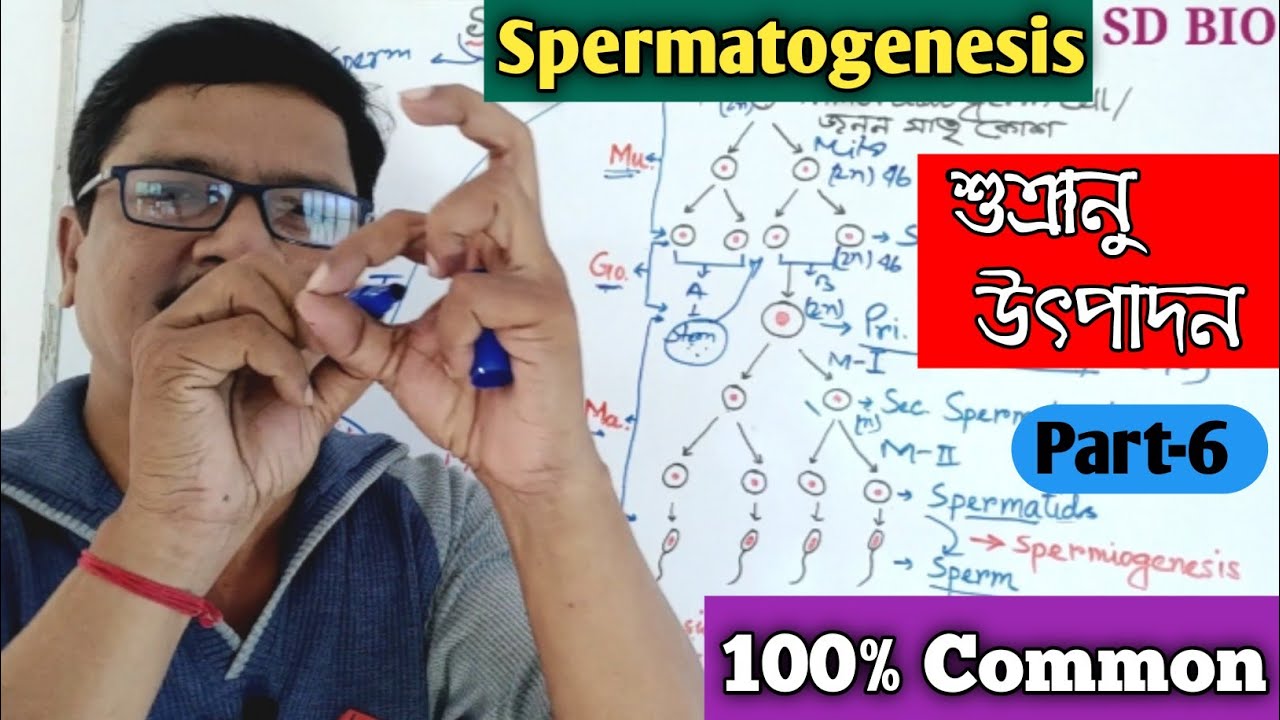 Transseksual orgiyalarni onlayn tomosha qiling Guruh porno qiyin