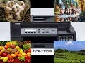 PHOTO PRINT SAMPLE BROTHER DCP-T710W / A4 GLOSSY PHOTO PAPER / HOW TO / IMAGE PRINT / COLOR PRINT