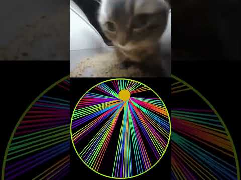 Wait for my PC to CRASH ... 😿#satisfying