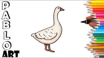 How to draw Goose | step by step