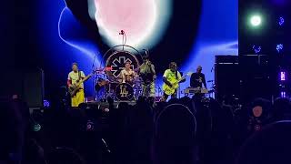 Red Hot Chili Peppers play “Californication” 5/28/24