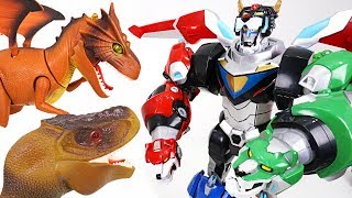 Five lion combined! Voltron Legendary Defender! Defeat dinosaur and dragon (Golion) - DuDuPopTOY