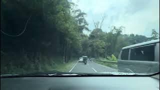 MELEWATI JALANAN DI HUTAN SAAT HUJAN YANG RINTIK-RINTIK