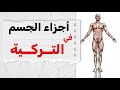 أجزاء الجسم في اللغة التركية mp3