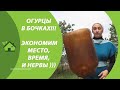 КАК ПОСАДИТЬ ОГУРЦЫ ЕСЛИ НА УЧАСТКЕ СОЛНЦЕПЕК? / Выращивание огурцов в БОЧКЕ с "капельным поливом"