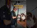 What It’s REALLY Like to Become a Dog Groomer in 10 Days  #doggroomingtips #dogtraining #doggroomer