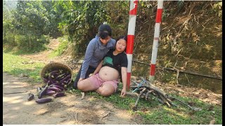 Single mother harvesting eggplant - helping pregnant mothers
