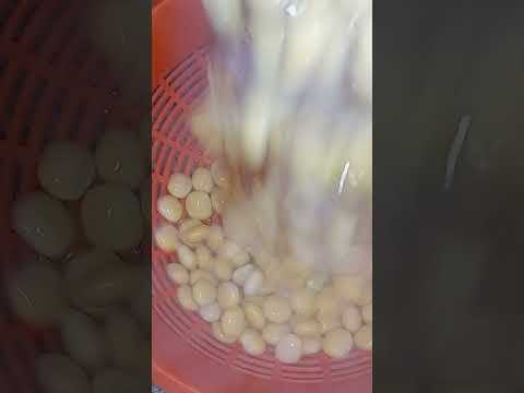 طريقة تحضير الترمس