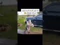 Ш Ш Ш Щ ШЄШ ШЇШ Щ Ш Щ Ш ШЄШ ШЇШ Щ Ш Ш Ш Ш Щ Ш ШЁШґ Ш Щ ШєЩ Щ рџђЏЩ Ш ШЁШ Щ Ш рџ ЎпёЏрџђҐрџђҐрџђҐ Ш Ш Ш Щ ШЄШ ШЇШ Щ Ш Щ Ш ШЄШ ШЇШ Щ Ш Ш Ш Ш Щ Ш ШЁШґ Ш Щ ШєЩ Щ рџђЏЩ Ш ШЁШ Щ Ш рџ ЎпёЏрџђҐрџђҐрџђҐ