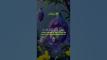 تلاوة جميلة 🤍 #القرآن_الكريم #تلاوة_خاشعة #اكسبلور