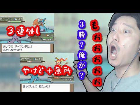 理不尽すぎるネジキに苦しめられる布団ちゃん　2023/04/08
