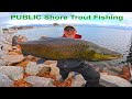 Public shore fishing monster trout