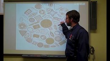 Oceanography flipclass for 10-7-13 Marine Sediments - Introduction #oceHWHL